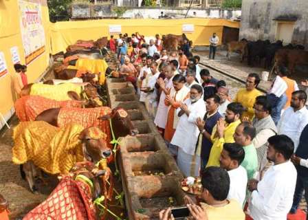 Gopashtami Pooja 1