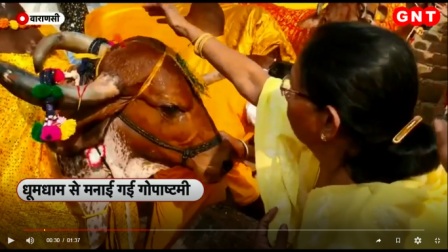 Gopashtami Pooja 1