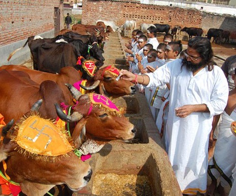 Gopashtami